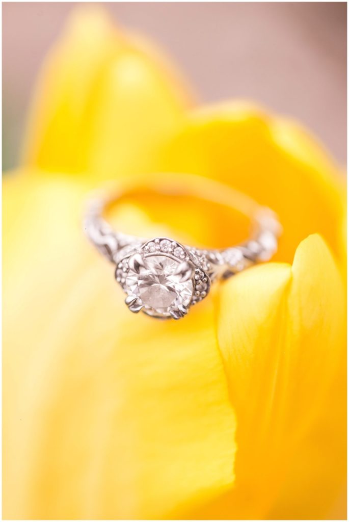 Tulip Garden Engagement, Diana Gordon Photography, photo