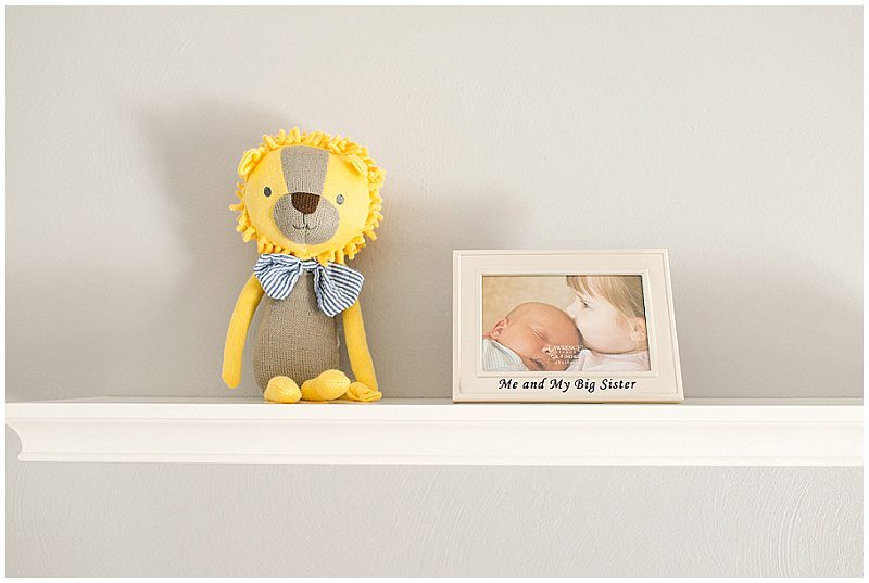 lion-themed nursery, Hampton Roads, Virginia, Diana Gordon Photography, photo