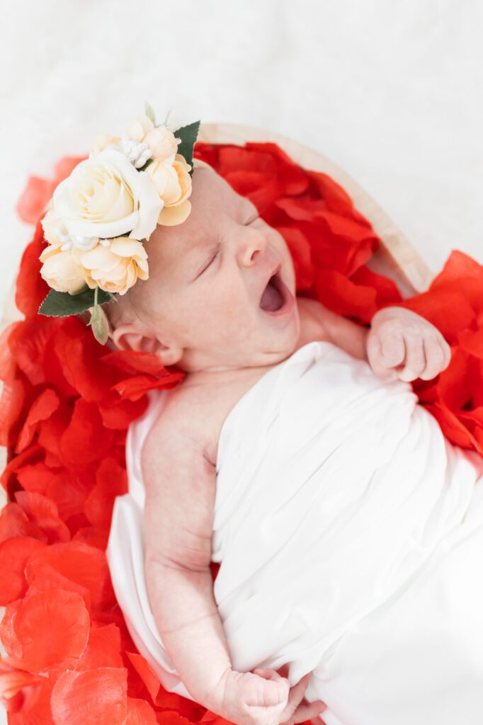 Valentine theme newborn session, Diana Gordon photography, photo